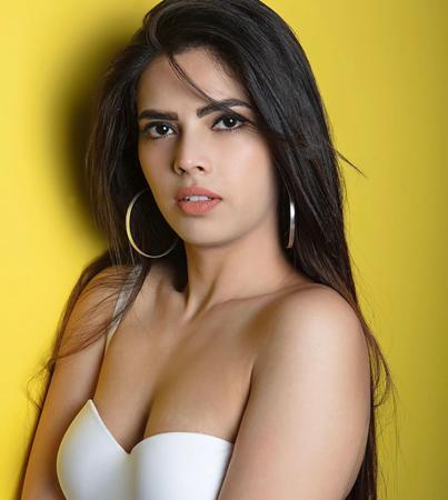 Siddiquee Sumbool Faizani Actress To Star In Hindi Films After Many Popular TV Serials, Web Series Music Videos